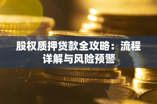 北京股权质押贷款全攻略：流程详解与风险预警