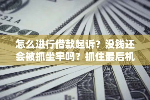 北京怎么进行借款起诉？没钱还会被抓坐牢吗？抓住最后机会！