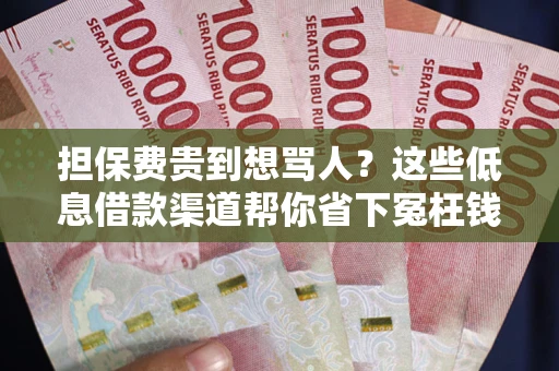 北京担保费贵到想骂人？这些低息借款渠道帮你省下冤枉钱