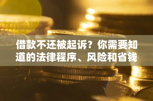 北京借款不还被起诉？你需要知道的法律程序、风险和省钱技巧
